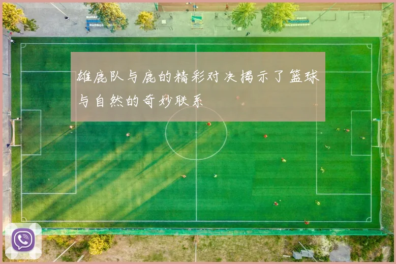雄鹿队与鹿的精彩对决揭示了篮球与自然的奇妙联系